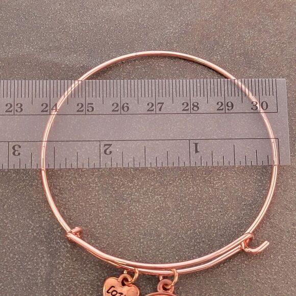 NEW Copper Tree of Life Love Heart Expandable Charm Bracelet - Picture 5 of 5